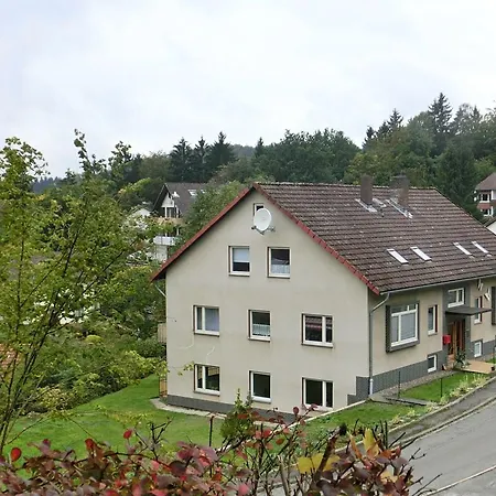 Bad Grund Apartament *